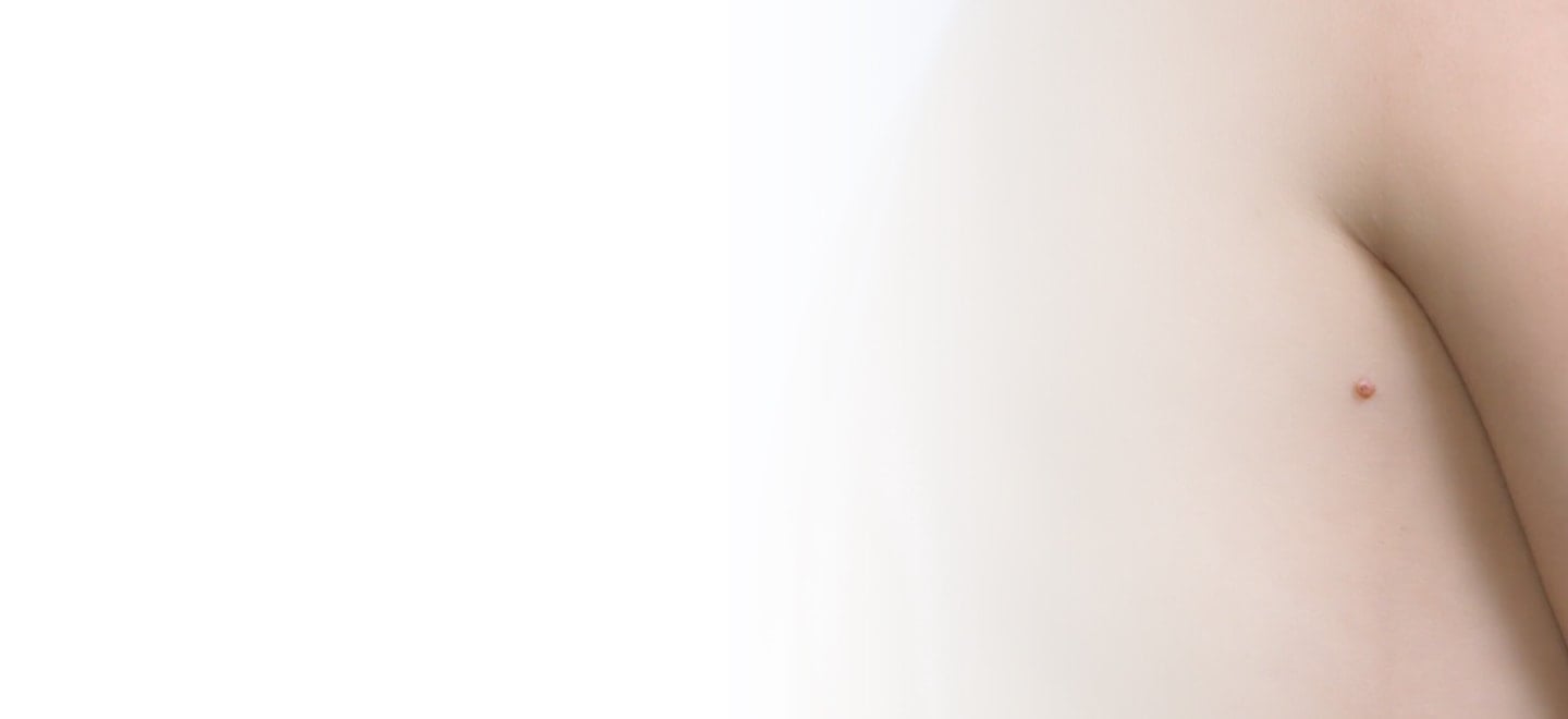 piel banner