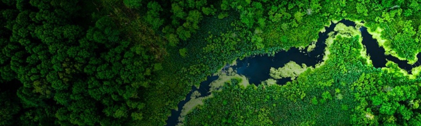 lrp_skfc_toleriane _dontletallergywriteyourstory-2021-sitecore-website-environement_banner